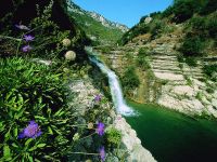 Cava-grande-del-Cassibile---Laghetti